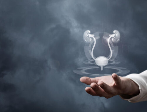 Pelvic Floor & Bladder Health Treatments